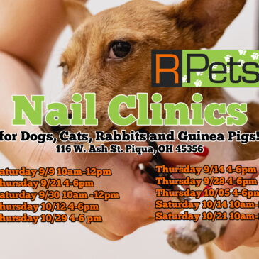 Upcoming Nail Clinics for September and October 2023!